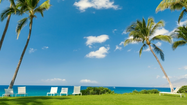 这个周末，漯河会展中心见！